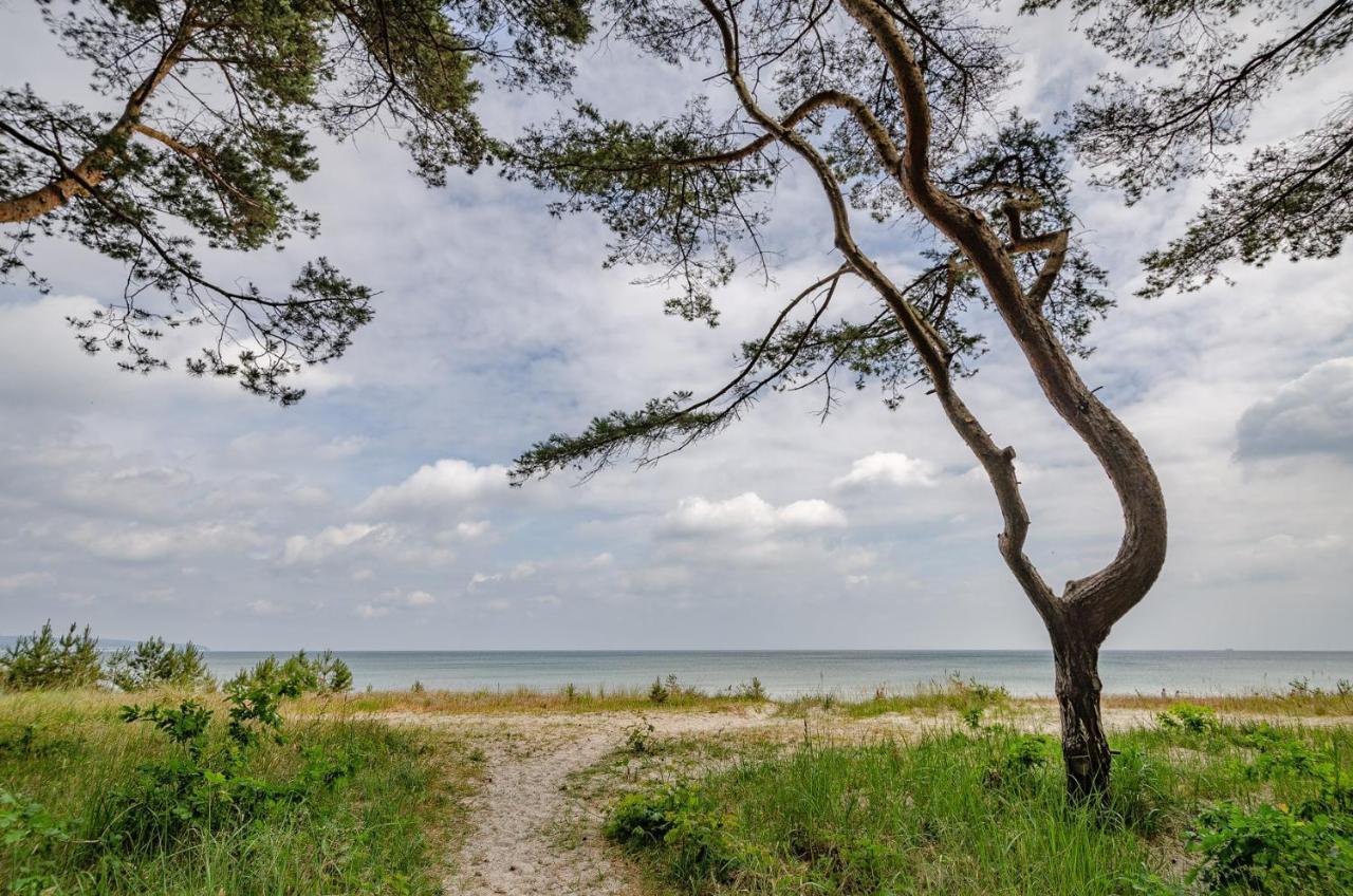 FeWo Prora - Sanddüne Ostseebad Ostseebad Binz Exterior foto